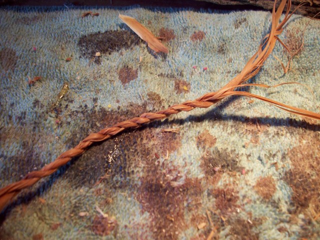 100_1202_640x480.jpg