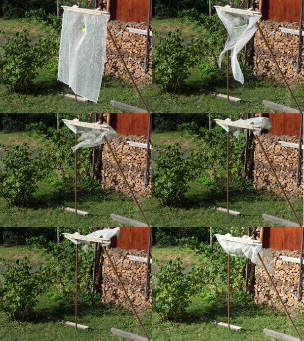 Snapshots_Hit.jpg