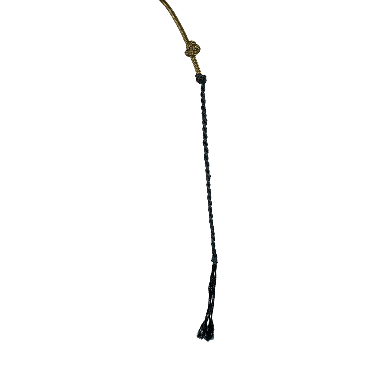 mini-lamb_4.png